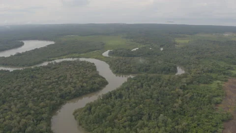 Jungle from the air Stock Footage 157627003