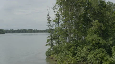 Jungle from the air Stock Footage 157630947