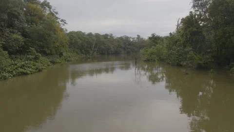 Jungle from the air Stock Footage 157632193