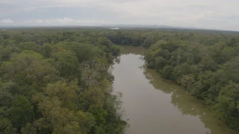 Jungle from the air Stock Footage 157633224