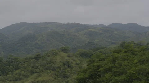Jungle from the air Stock Footage 157641351
