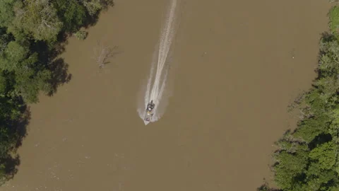 Jungle from the air Stock Footage 157650671