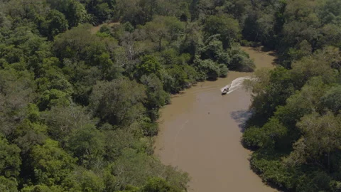 Jungle from the air Stock Footage 157650735