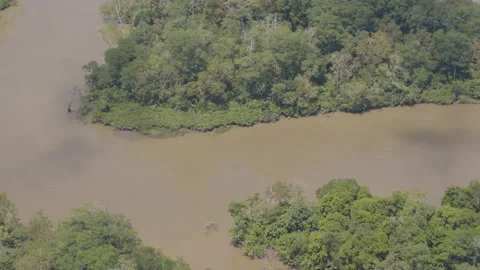Jungle from the air Stock Footage 157654014