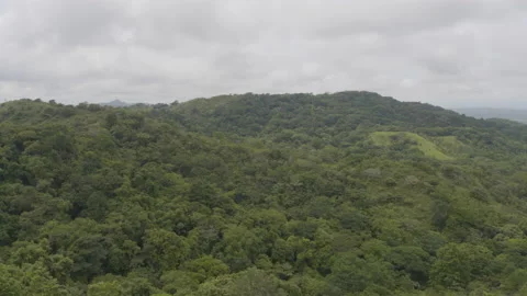 Jungle from the air Stock Footage 157654618