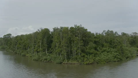 Jungle from the air Stock Footage 157654811