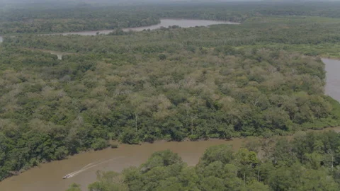Jungle from the air Stock Footage 157655045