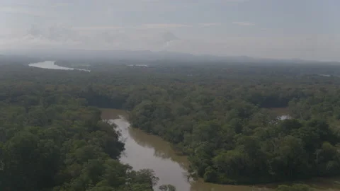 Jungle from the air Stock Footage 157655215