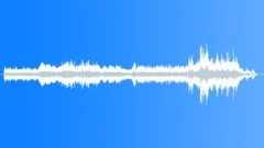 Jungle ambiance Sound Effect