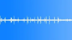 Jungle Ambience loop Sound Effect
