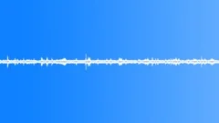 Jungle Ambience LoopSound Effect