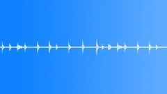 Jungle ambience, loopable, SFX Sound Effect