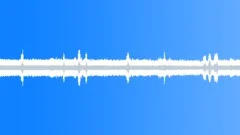 Jungle ambience, loopable, SFX Sound Effect