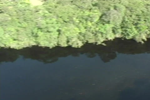 Jungle and river from the air Stock Footage 286325
