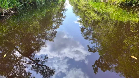 Jungle and Sky Reflection on River, Tanjung Puting National Park, Borneo, Stock Footage 346370865