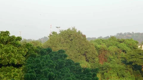 Jungle and urban view during sunset in Asia. 5g tower in city Stock Footage 147577649