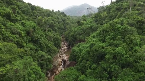 Jungle and waterfall in Asia. South Vietnam Stock Footage