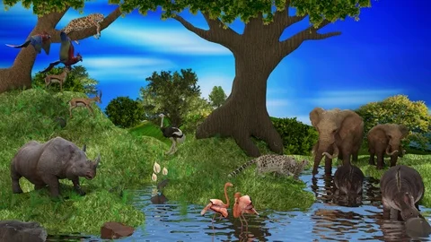 Jungle Animals Stock Footage ~ Royalty Free Stock Videos | Pond5