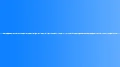 JUNGLE, ASIA Sound Effect