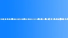 Jungle Atmos Very Still 5 Sound Effect