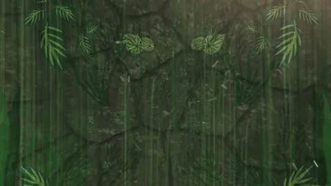 Jungle background Stock Footage 169061353