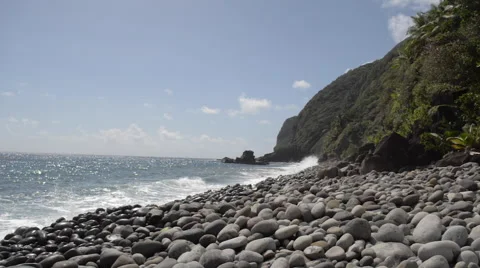 Jungle Bay pan Stock Footage 47251722