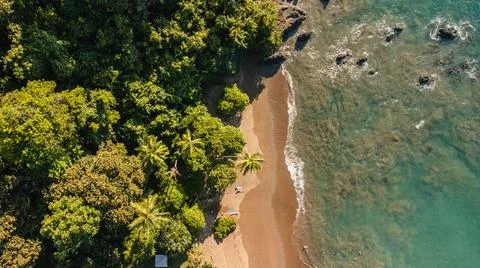 Jungle beach Stock Photos