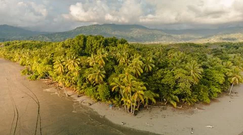 Jungle beach Stock Photos