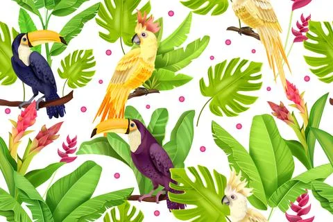 Jungle bird vector seamless pattern, banana leaves, monstera, toucan, parrot イラスト素材