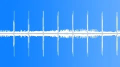 Jungle Birds and Insects loop Sound Effect