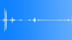 Jungle Birds with owlSound Effect