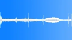 Jungle BirdsSound Effect
