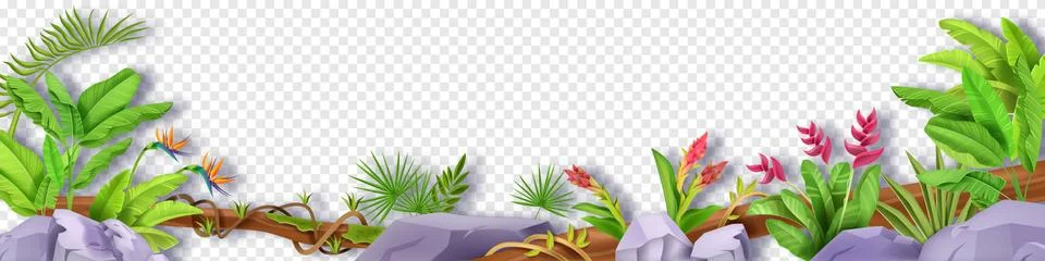 Jungle border vector leaf floral frame, tropical plant background, liana Stockillustratie