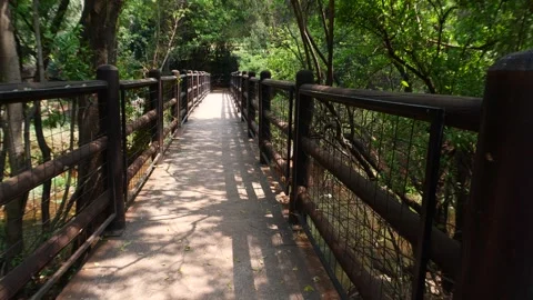 Jungle bridge over valley. Video stock 256867592