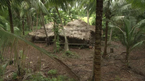 Jungle bungalo Видео 39841147