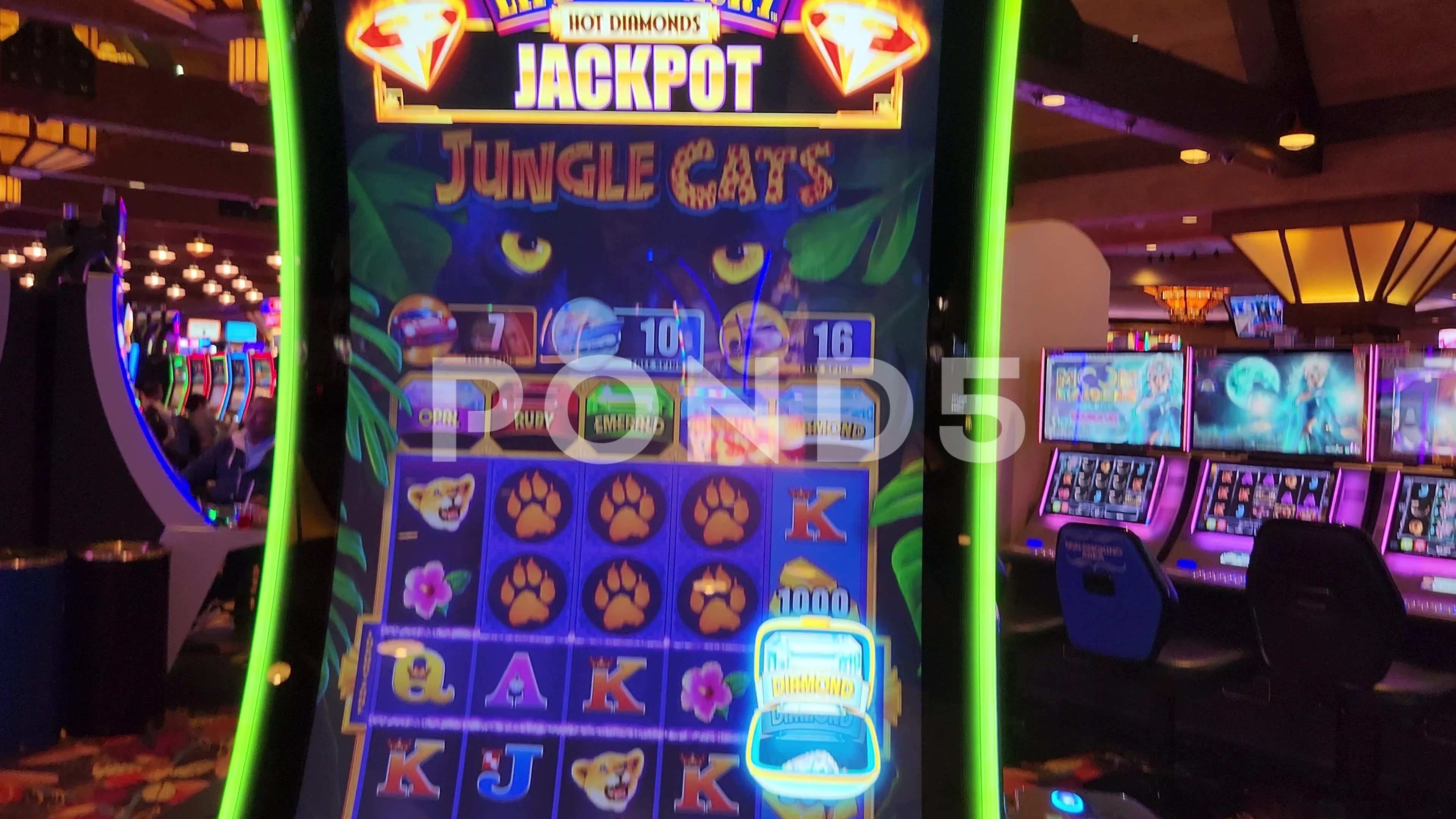 jungle cats slot machine