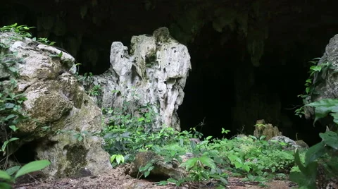Jungle cave sliding scene Stock Footage 55380218