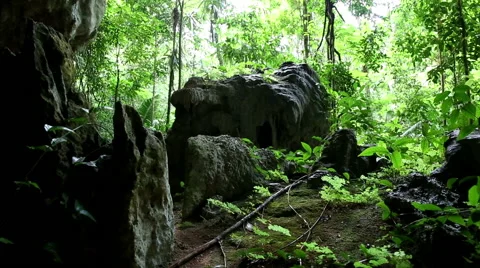 Jungle cave sliding scene 스톡 동영상 55380801