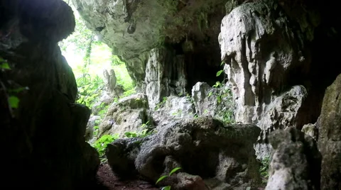 Jungle cave sliding scene Stock Footage 55380890