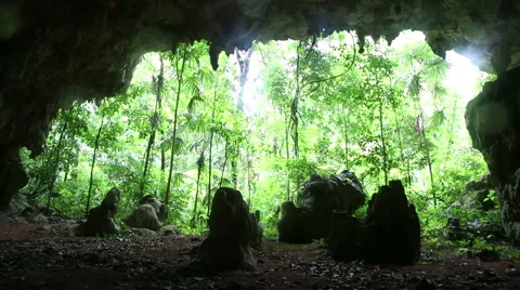 Jungle cave sliding scene Stock Footage 55381431
