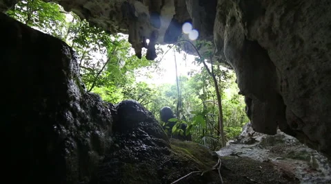 Jungle cave sliding scene Stock Footage 55381812