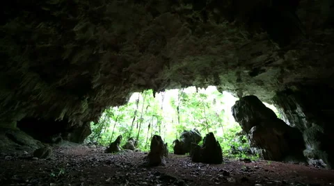Jungle cave sliding scene Stock Footage 55389715