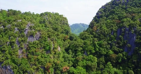 Jungle clad limestone ridge with a deep forested saddle 動画素材 71296876