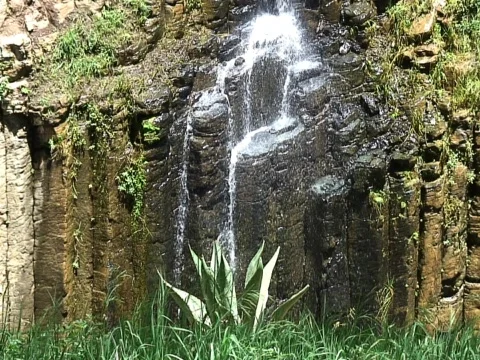 Jungle Cliff Video stock 490126