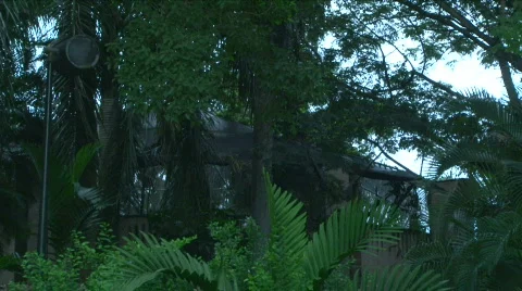 Jungle Compound - 03 Stock Footage 622036