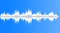 JUNGLE, DAYSound Effect