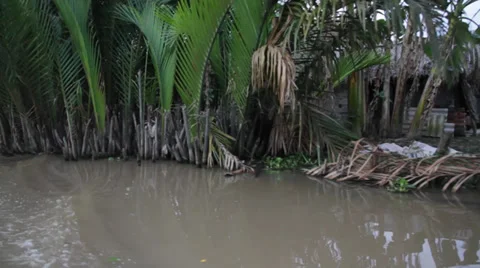 Jungle Delta Stock Footage 32274518