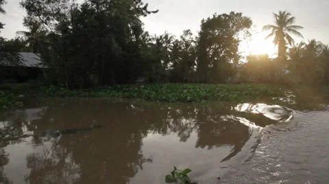 Jungle Delta Stock Footage 32274534