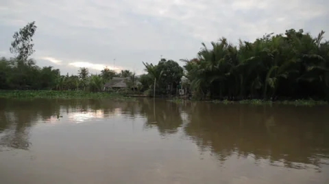 Jungle Delta Stock Footage 32274608