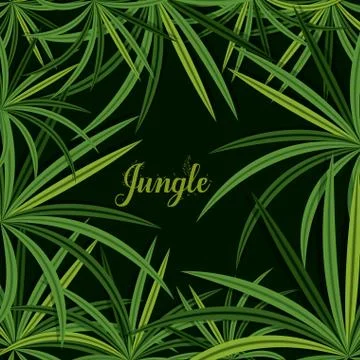 Jungle design 스톡 일러스트